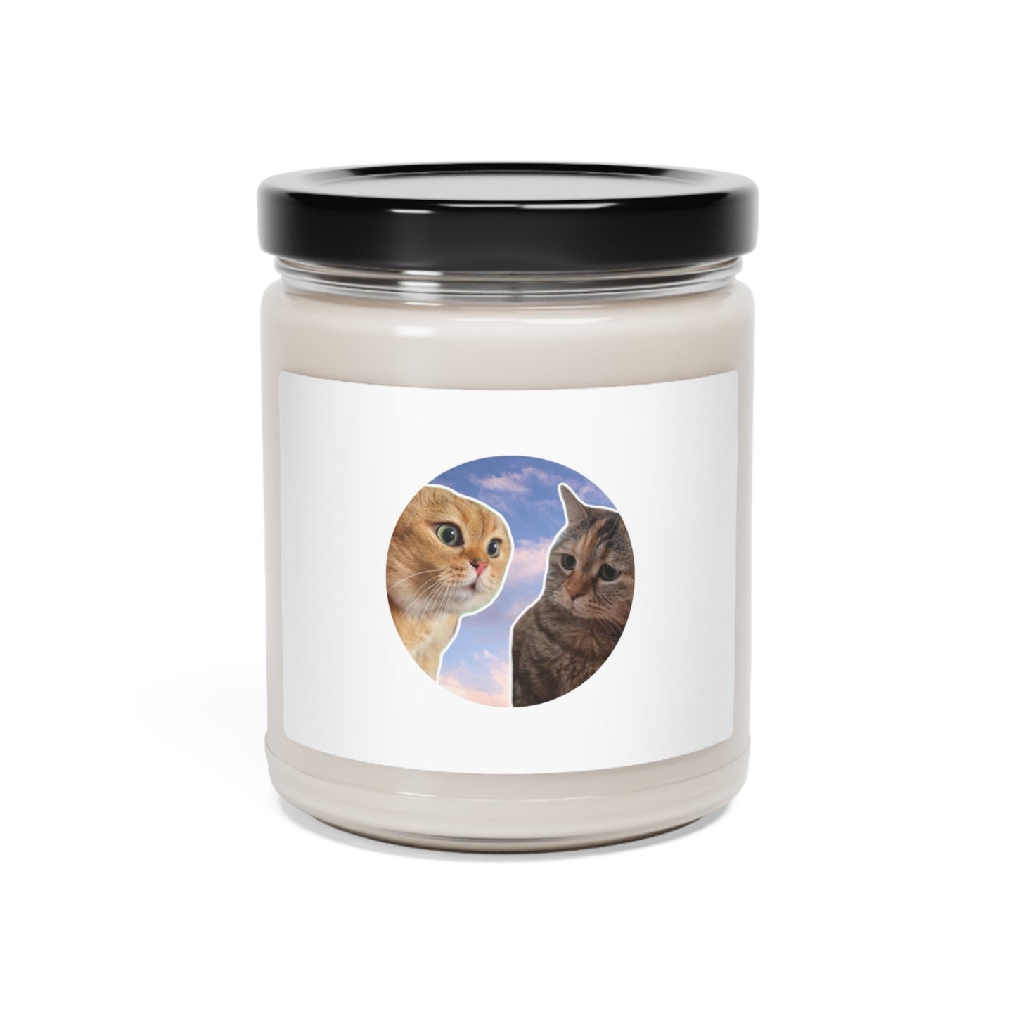 Talking Cats Meme Scented Soy Candle, 9oz - getallfun